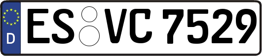 ES-VC7529