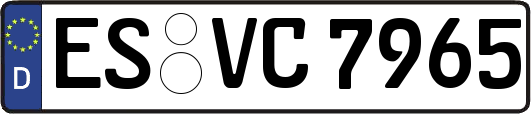 ES-VC7965
