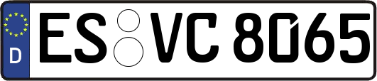 ES-VC8065