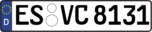 ES-VC8131