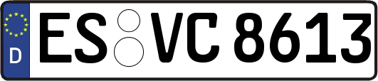 ES-VC8613