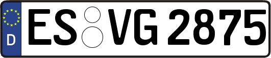ES-VG2875