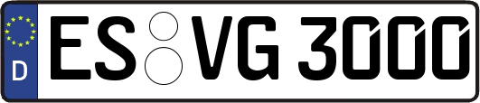 ES-VG3000