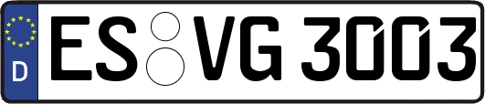 ES-VG3003