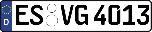 ES-VG4013