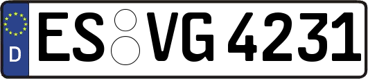 ES-VG4231