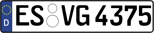 ES-VG4375