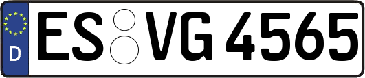 ES-VG4565
