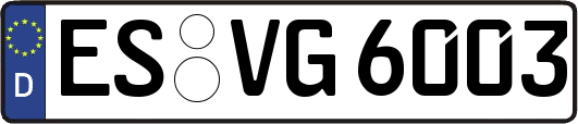 ES-VG6003