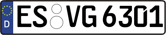 ES-VG6301