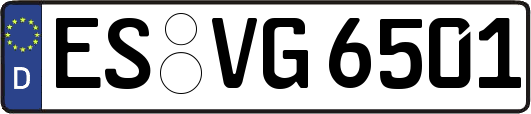 ES-VG6501
