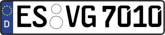 ES-VG7010