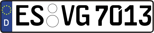 ES-VG7013