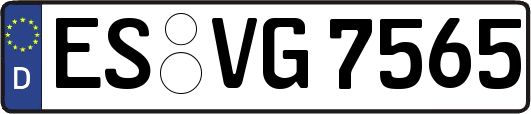 ES-VG7565