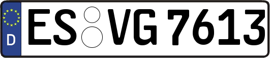 ES-VG7613