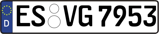 ES-VG7953