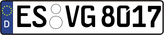ES-VG8017
