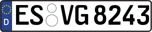 ES-VG8243