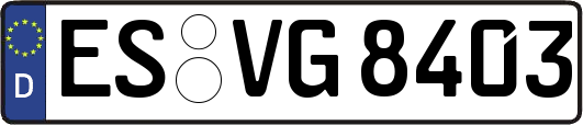 ES-VG8403