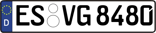 ES-VG8480