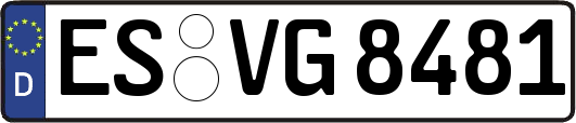 ES-VG8481
