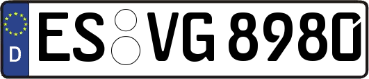 ES-VG8980
