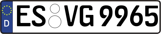 ES-VG9965