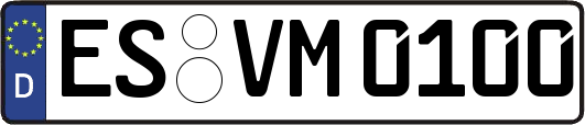 ES-VM0100