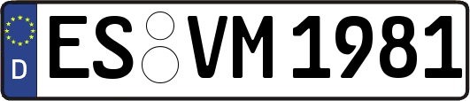 ES-VM1981