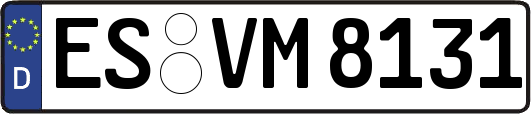 ES-VM8131