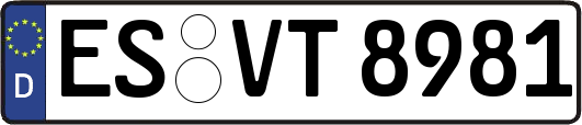 ES-VT8981