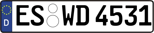 ES-WD4531