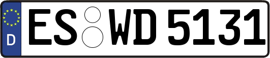 ES-WD5131