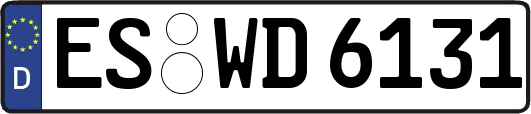 ES-WD6131