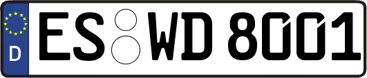 ES-WD8001