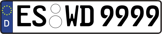 ES-WD9999
