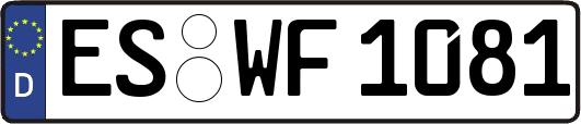 ES-WF1081
