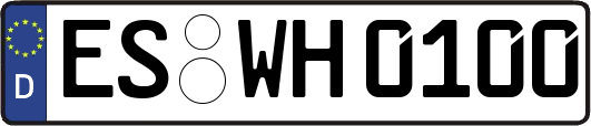 ES-WH0100