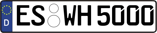 ES-WH5000