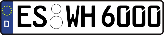 ES-WH6000