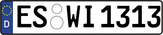 ES-WI1313