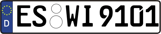 ES-WI9101