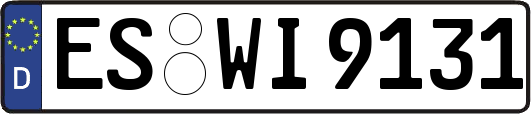 ES-WI9131