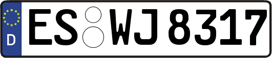 ES-WJ8317