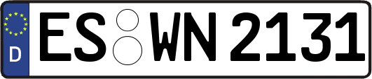 ES-WN2131