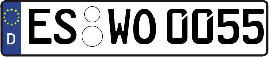 ES-WO0055