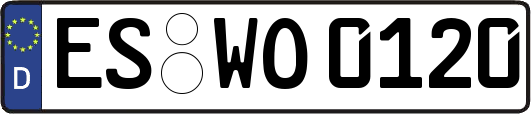 ES-WO0120