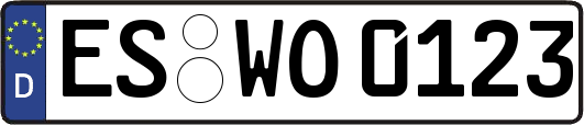 ES-WO0123