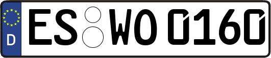 ES-WO0160