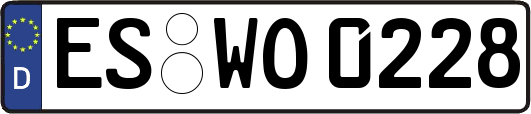 ES-WO0228